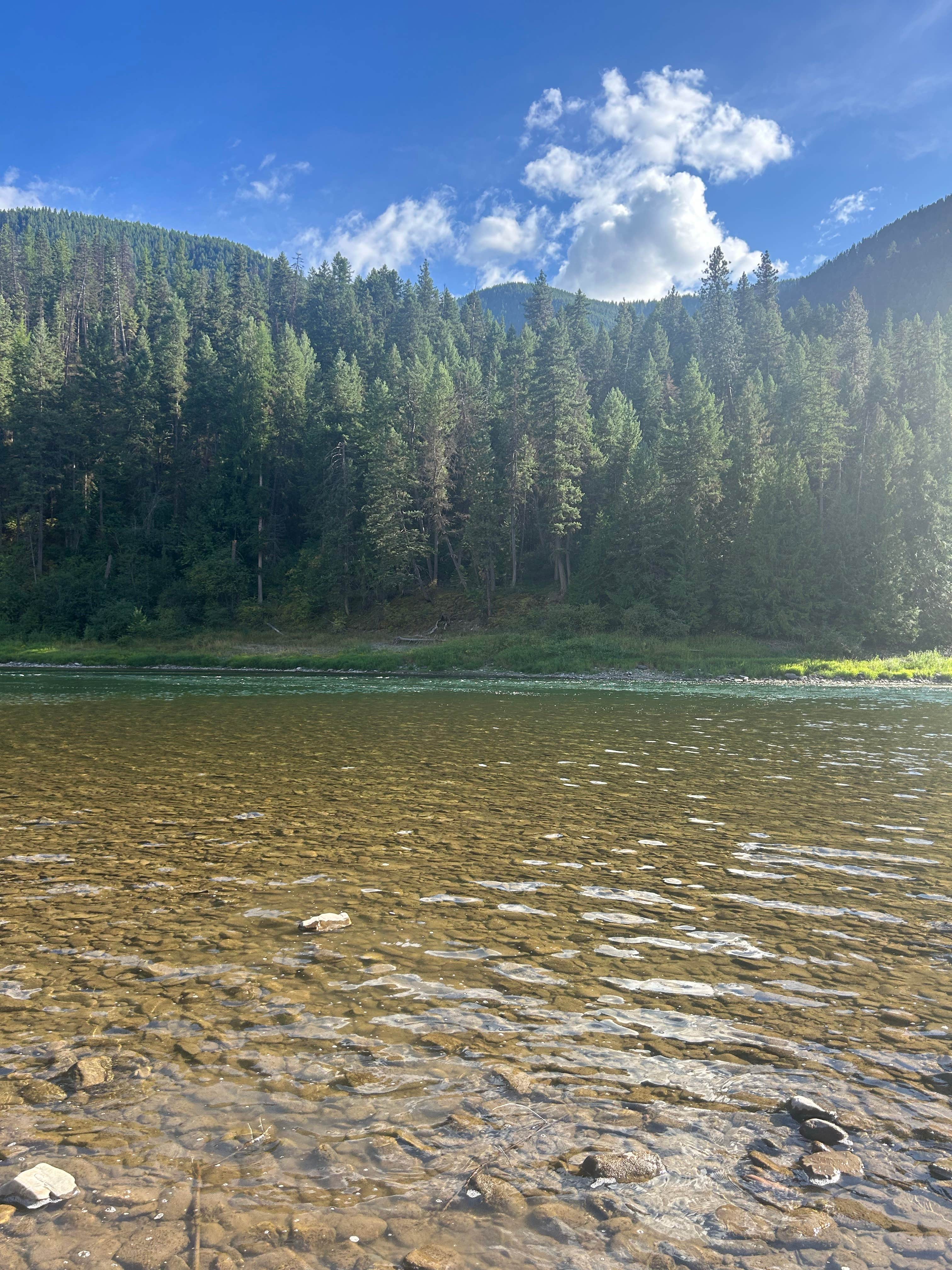 Camper-submitted photo at Dispersed Site - Lolo National Forest Recreation Area near Big Arm, MT