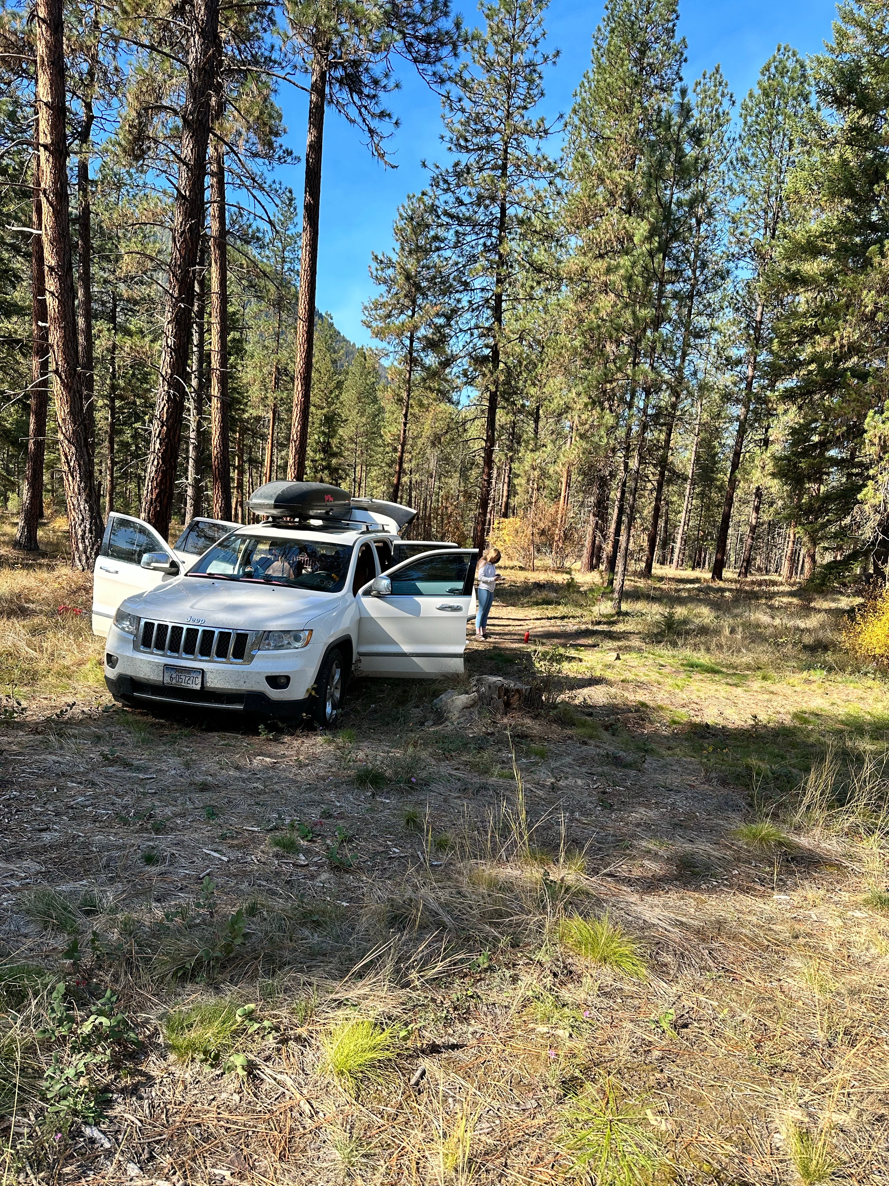 Camper submitted image from Dispersed Site - Lolo National Forest Recreation Area - 2