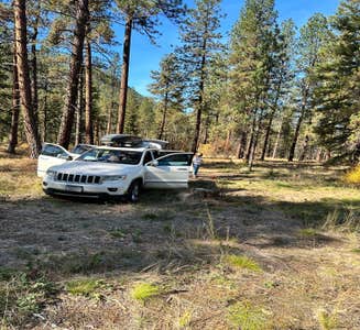 Camper-submitted photo from Dispersed Site - Lolo National Forest Recreation Area