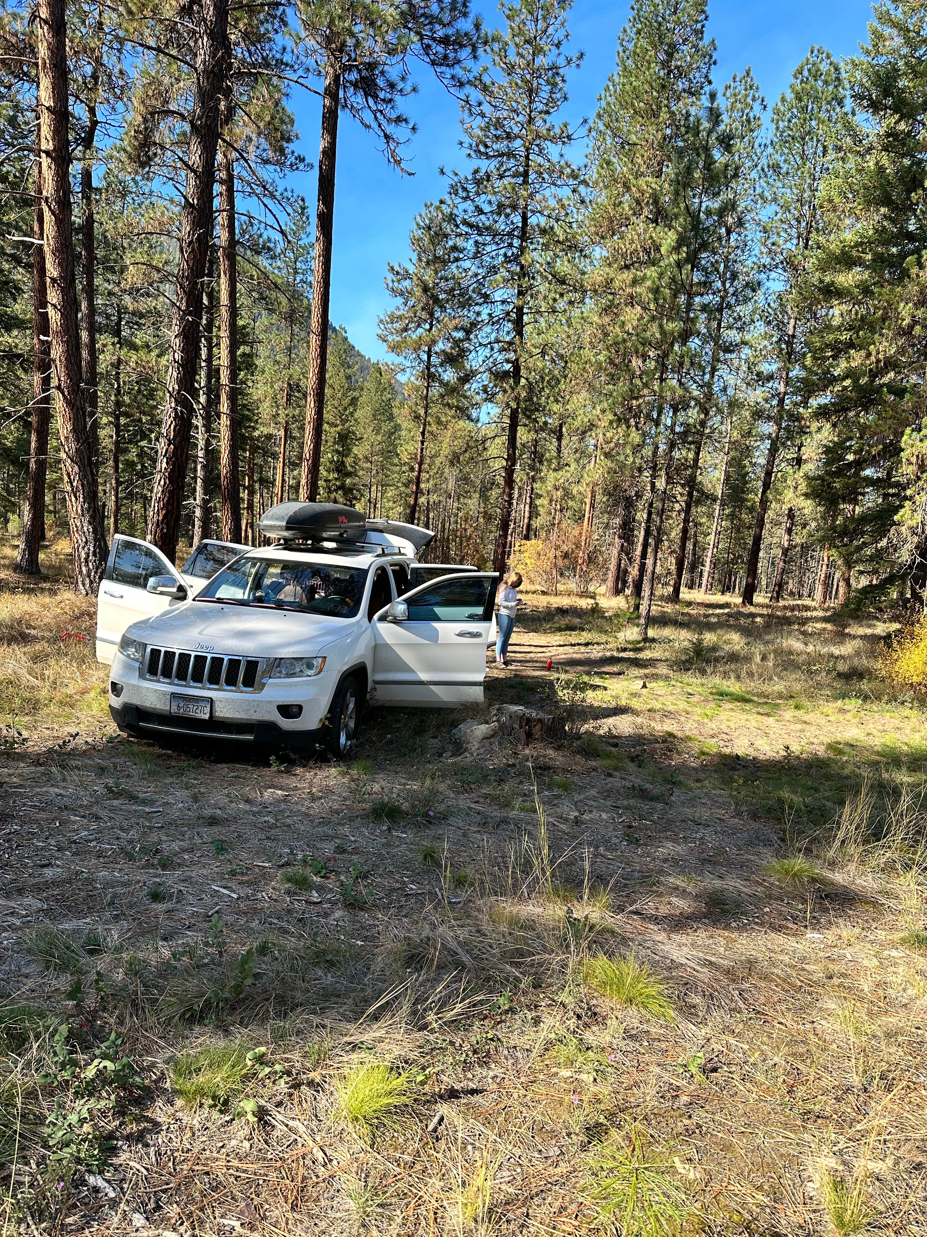 Camper submitted image from Dispersed Site - Lolo National Forest Recreation Area - 4