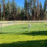 Review photo of Lolo National Forest Rest Area by Jules S., June 29, 2025