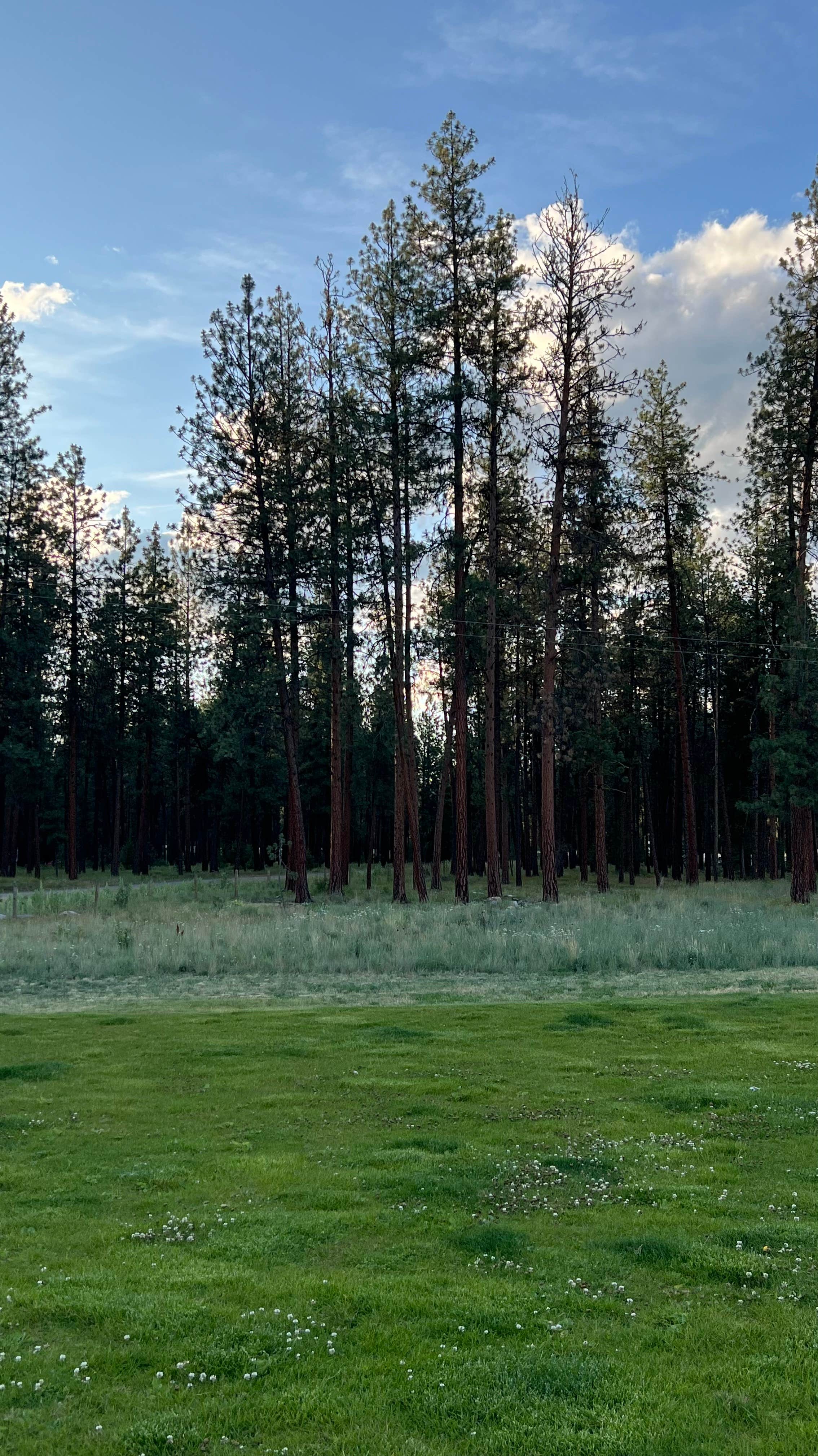 Lolo National Forest Rest Area