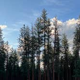 Review photo of Lolo National Forest Rest Area by Jules S., June 29, 2025