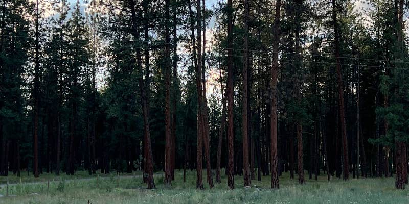 Camper submitted image from Lolo National Forest Rest Area