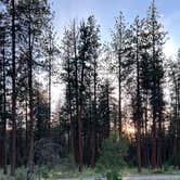 Review photo of Lolo National Forest Rest Area by Jules S., June 29, 2025