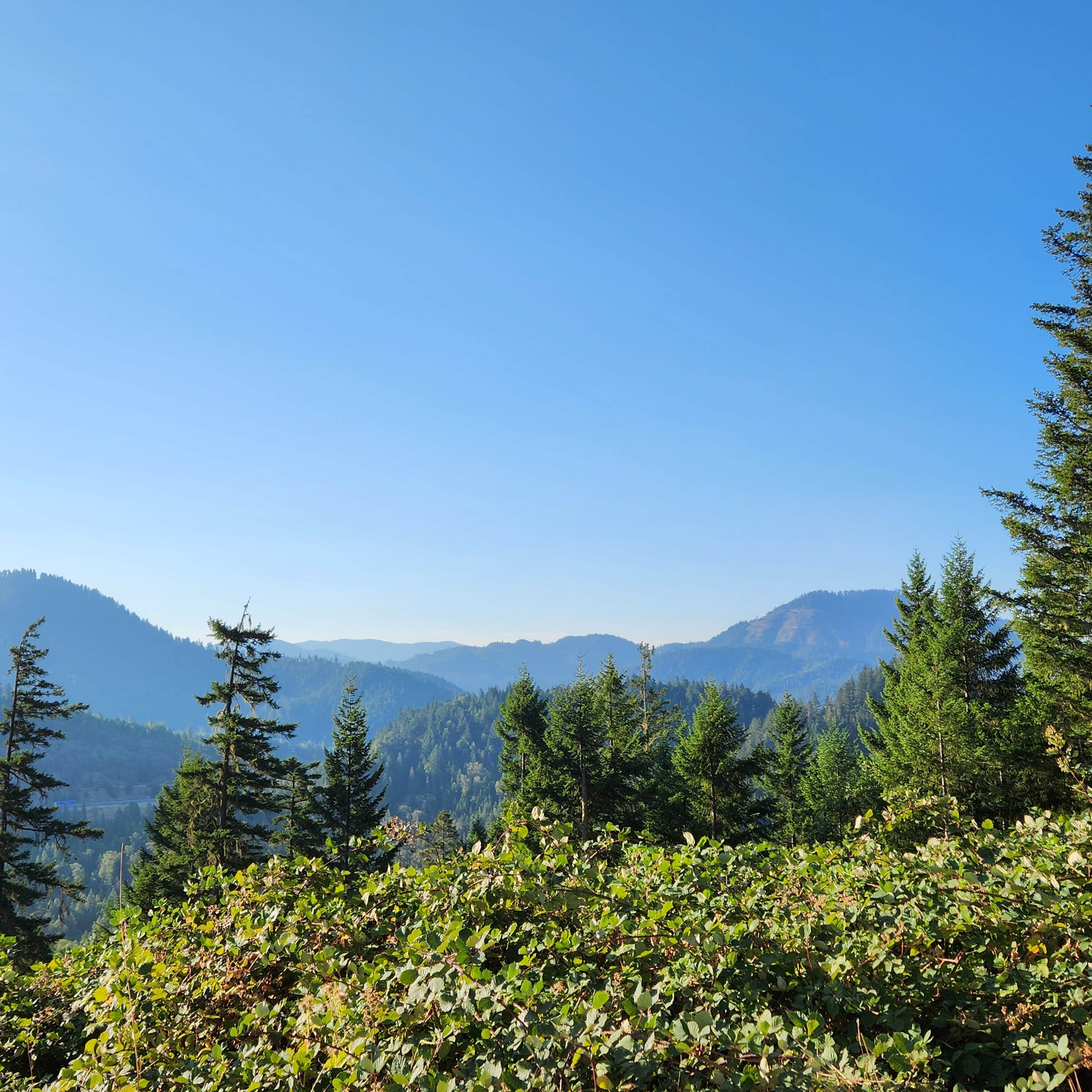 London Peak FS Road