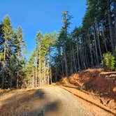 Review photo of London Peak FS Road by Laura S., August 18, 2026