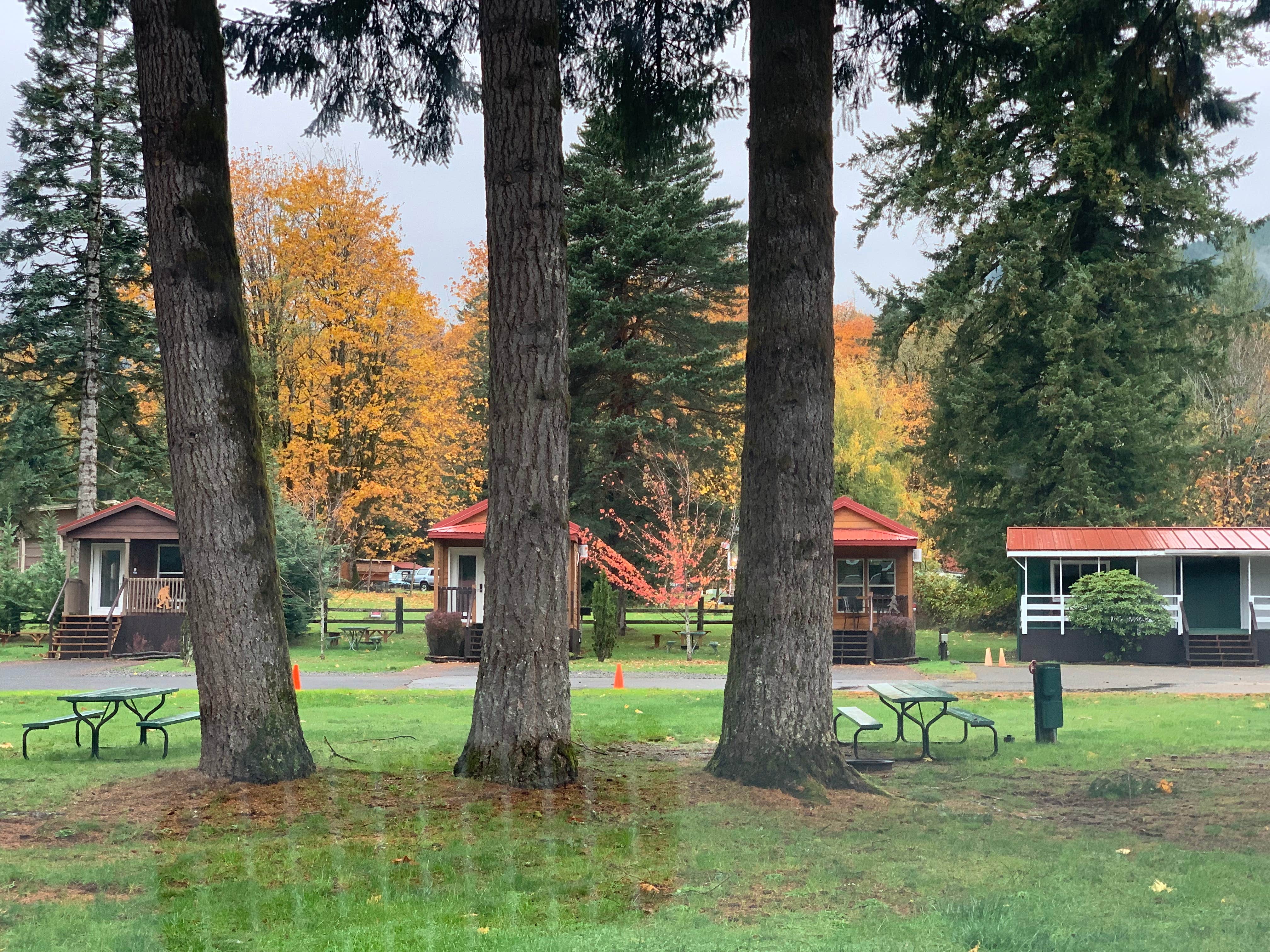 Camper-submitted photo at Lone Fir Resort near Cougar, WA