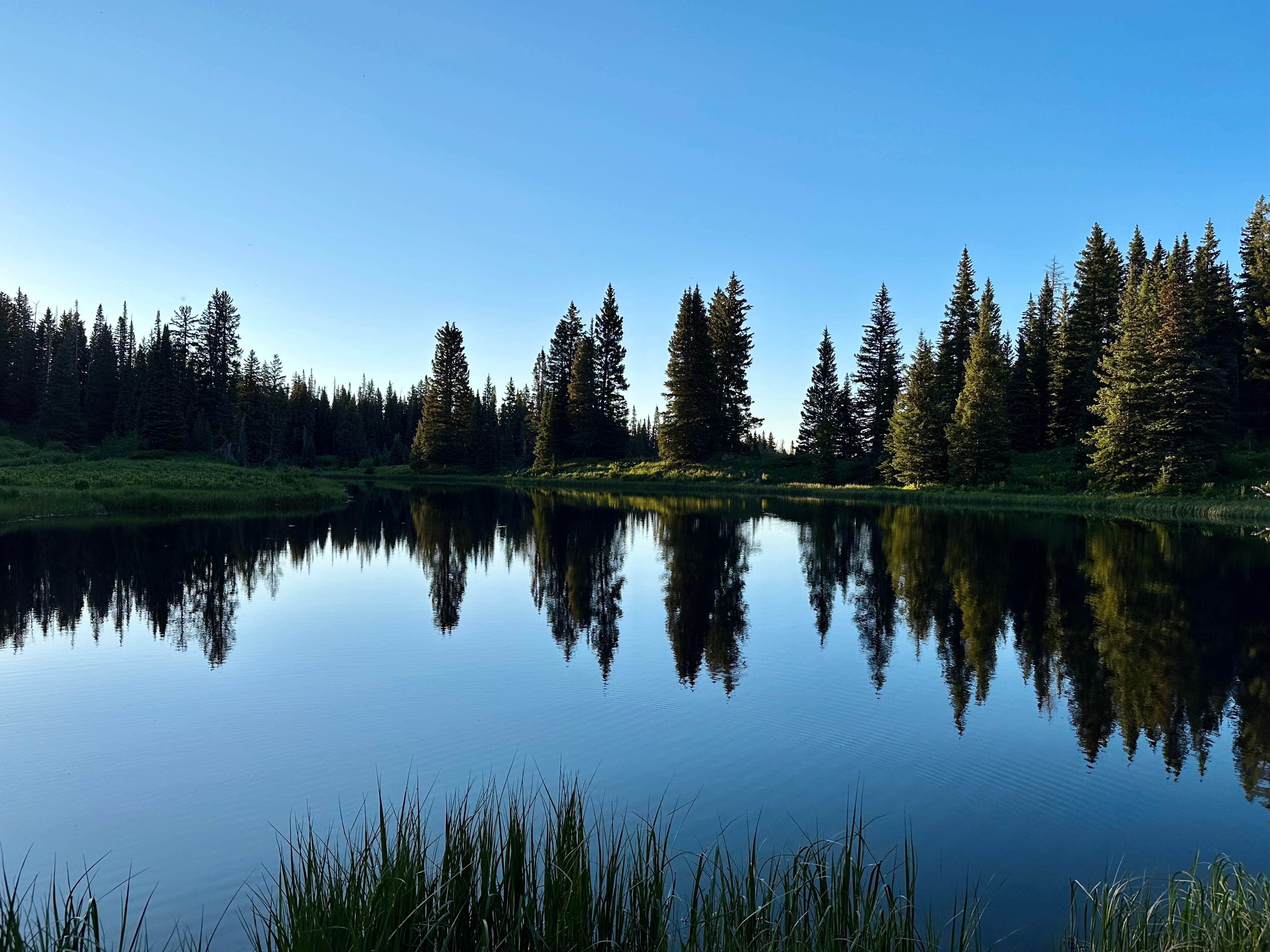 Camper submitted image from Lone Lick Lakes - 2