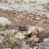 Review photo of BLM Dubinky Road Dispersed Camping by Benjamin G., July 1, 2025