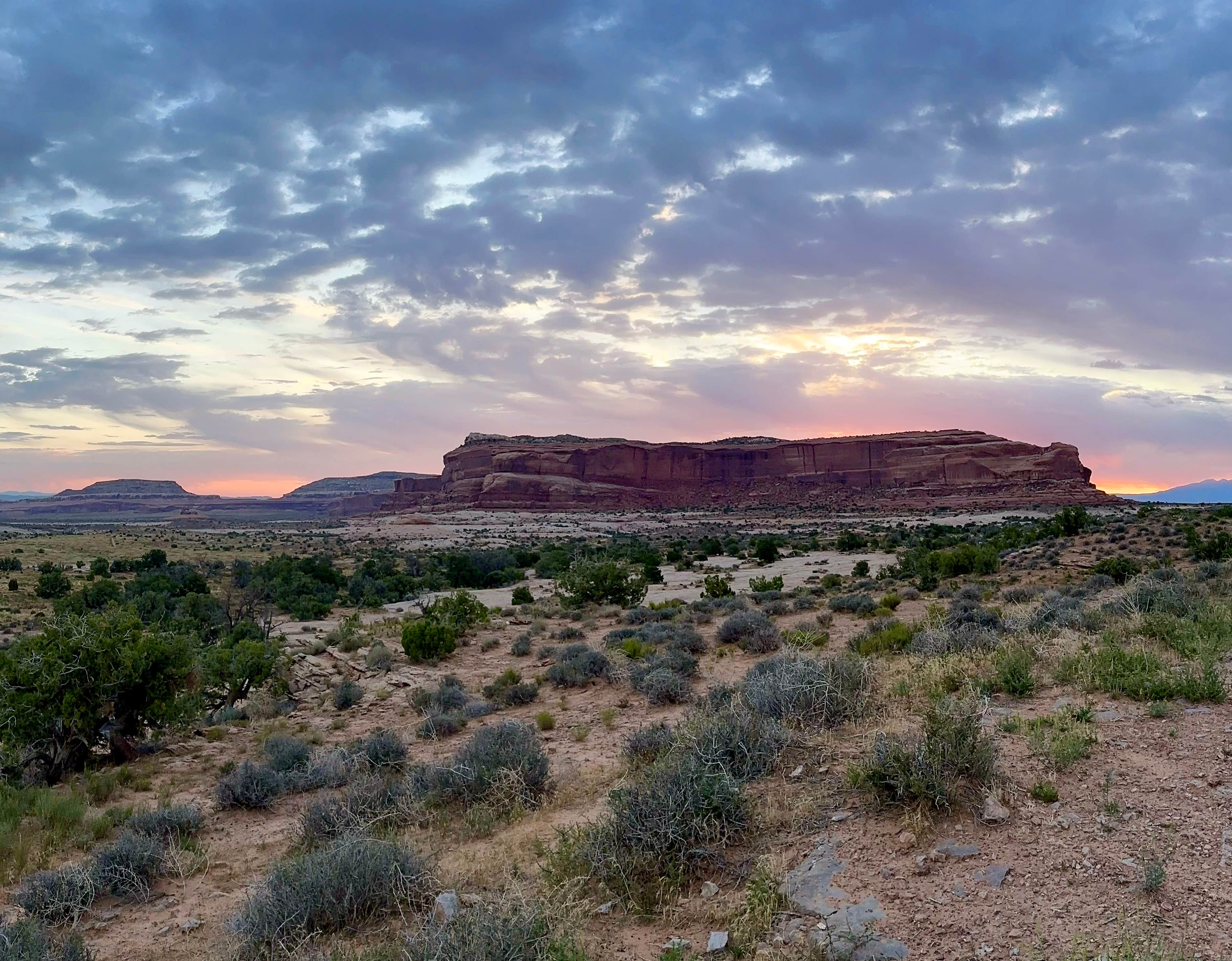 Camper submitted image from Lone Mesa Dispersed Camping - 1