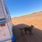 Review photo of Lone Mesa Dispersed Camping by Carrie S., June 20, 2026