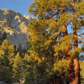 Review photo of Whitney Family Campground by Roland L., August 31, 2026