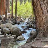 Review photo of Whitney Family Campground by Debra P., June 7, 2026