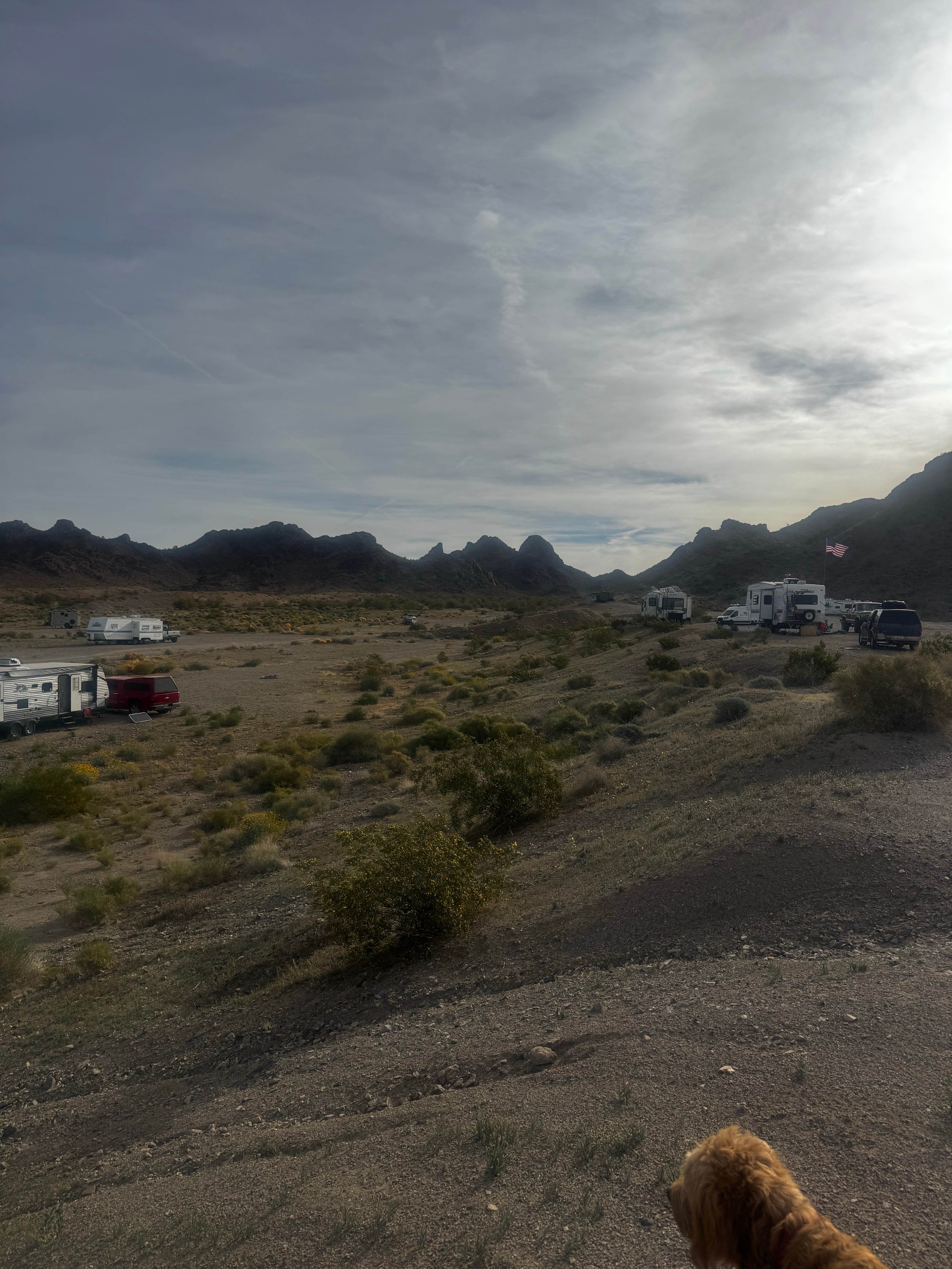 James T.'s photo of camping with pets at Lone Tree Dispersed Camping BLM near Mohave Valley, AZ
