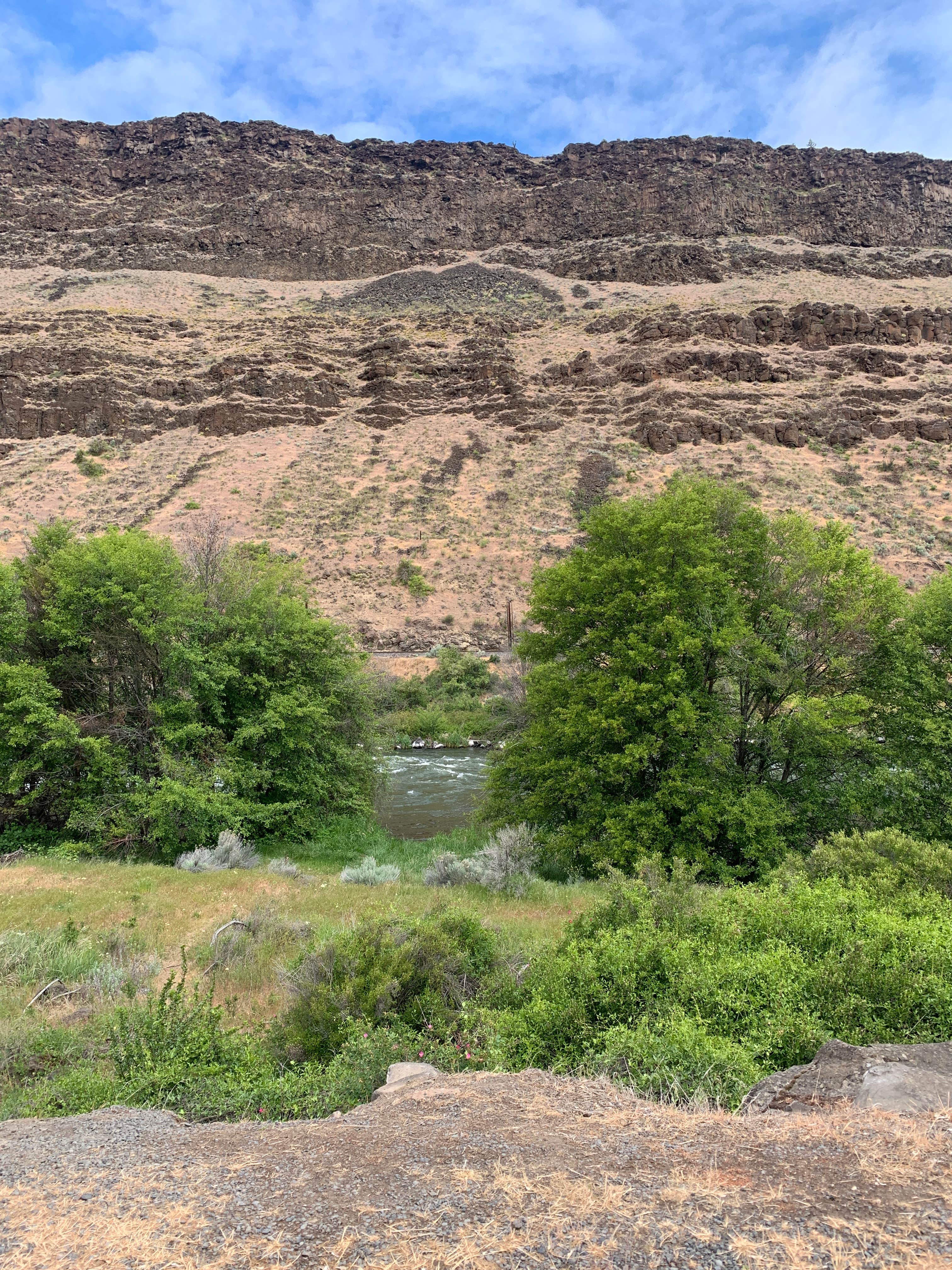 Camper submitted image from Long Bend Campground — Lower Deschutes Wild And Scenic River - 3