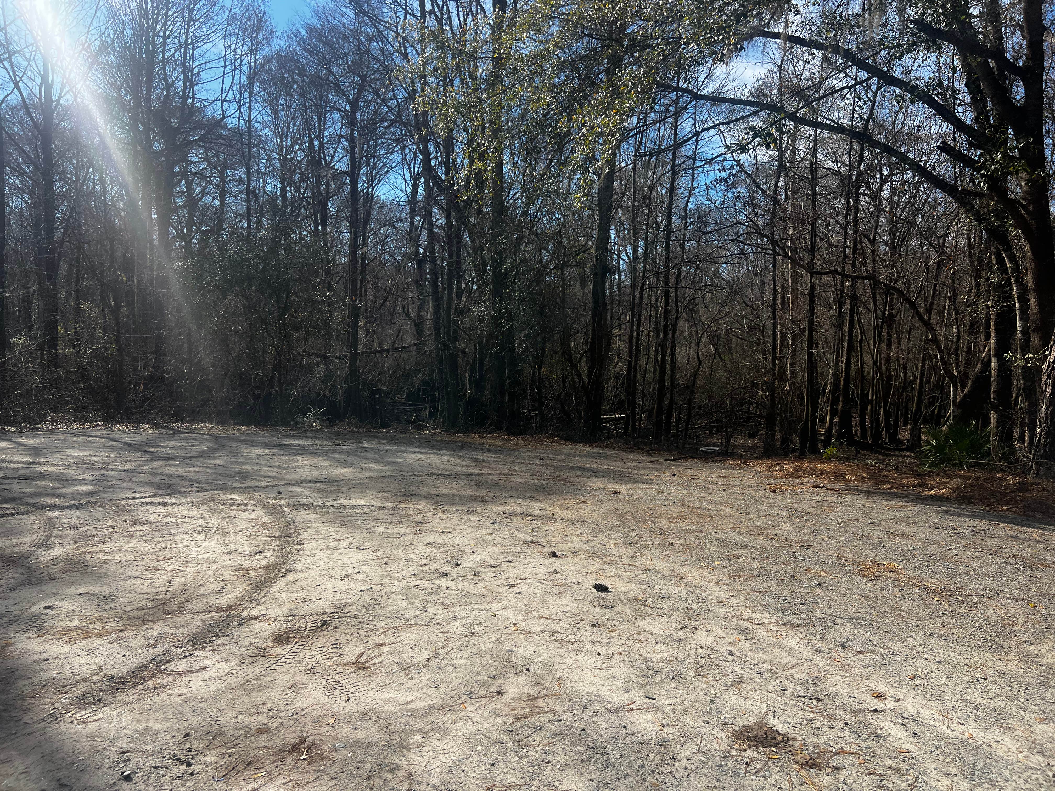 Camper-submitted photo at Long Bridge Boat Landing near Guyton, GA