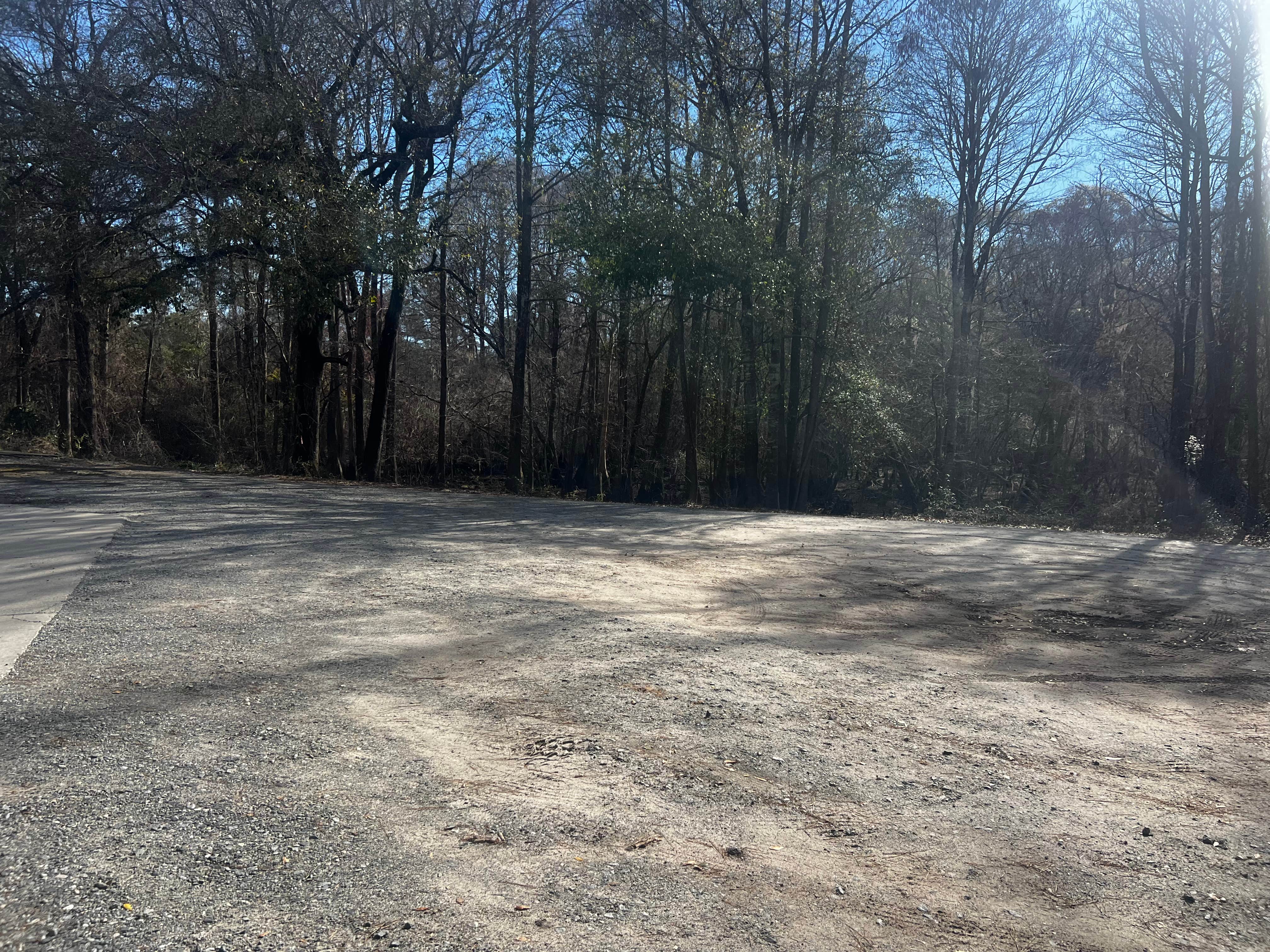 Camper submitted image from Long Bridge Boat Landing - 3