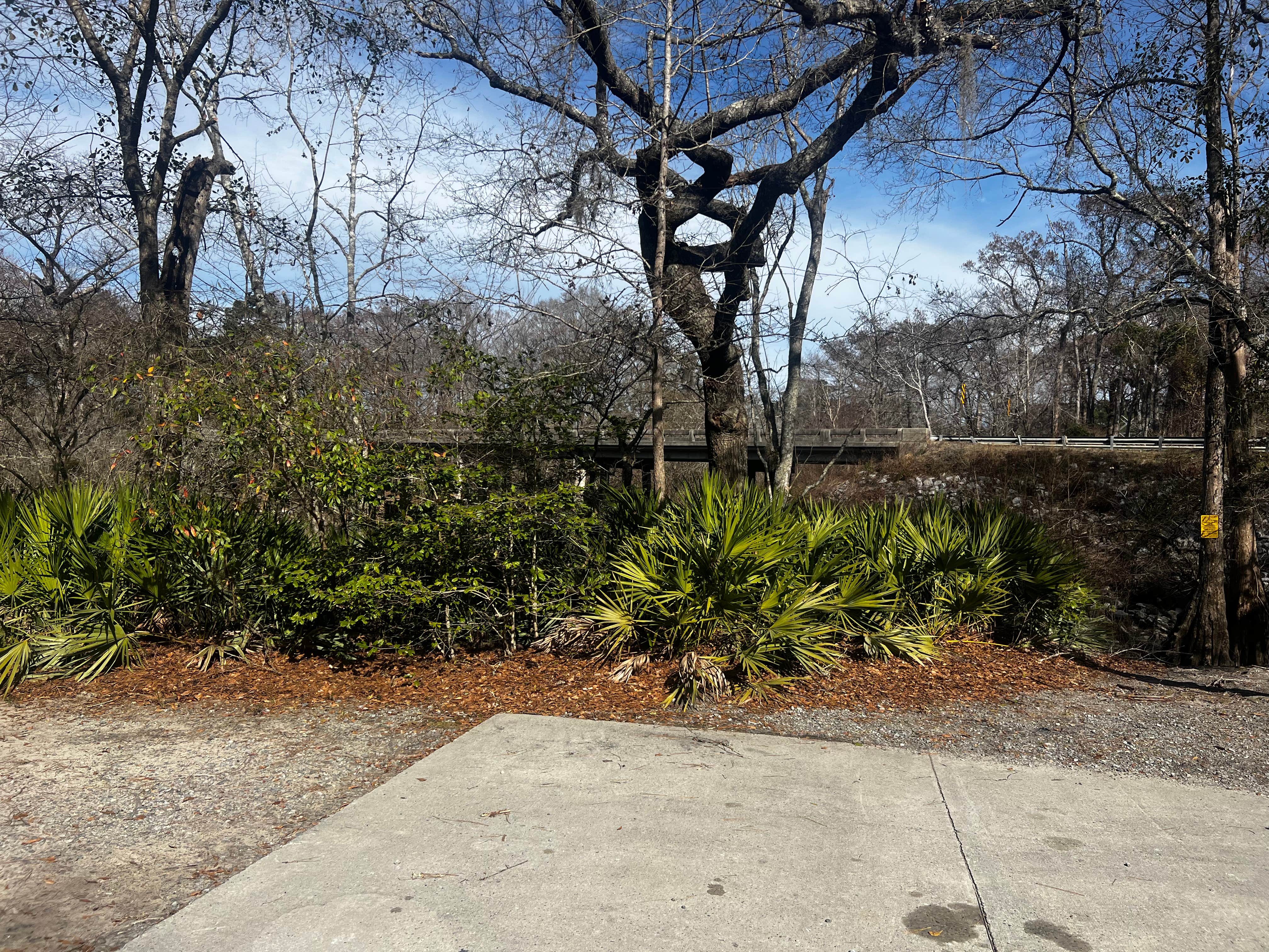 Camping near Heirloom Hamlet: Long Bridge Boat Landing, Rincon, Georgia