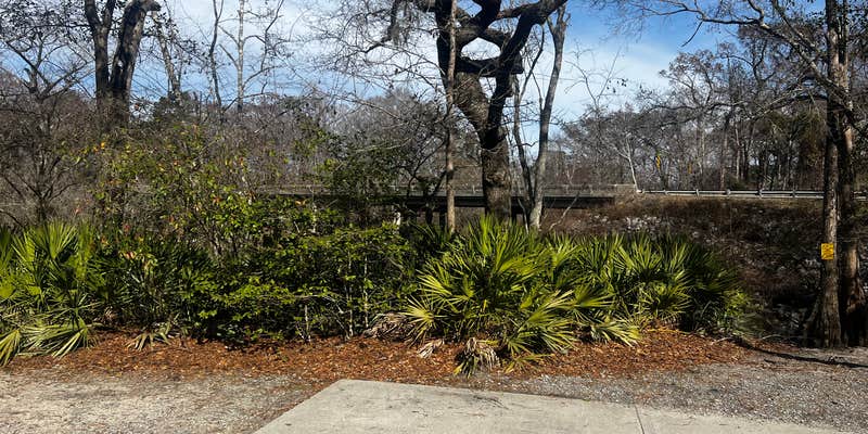 Camper submitted image from Long Bridge Boat Landing
