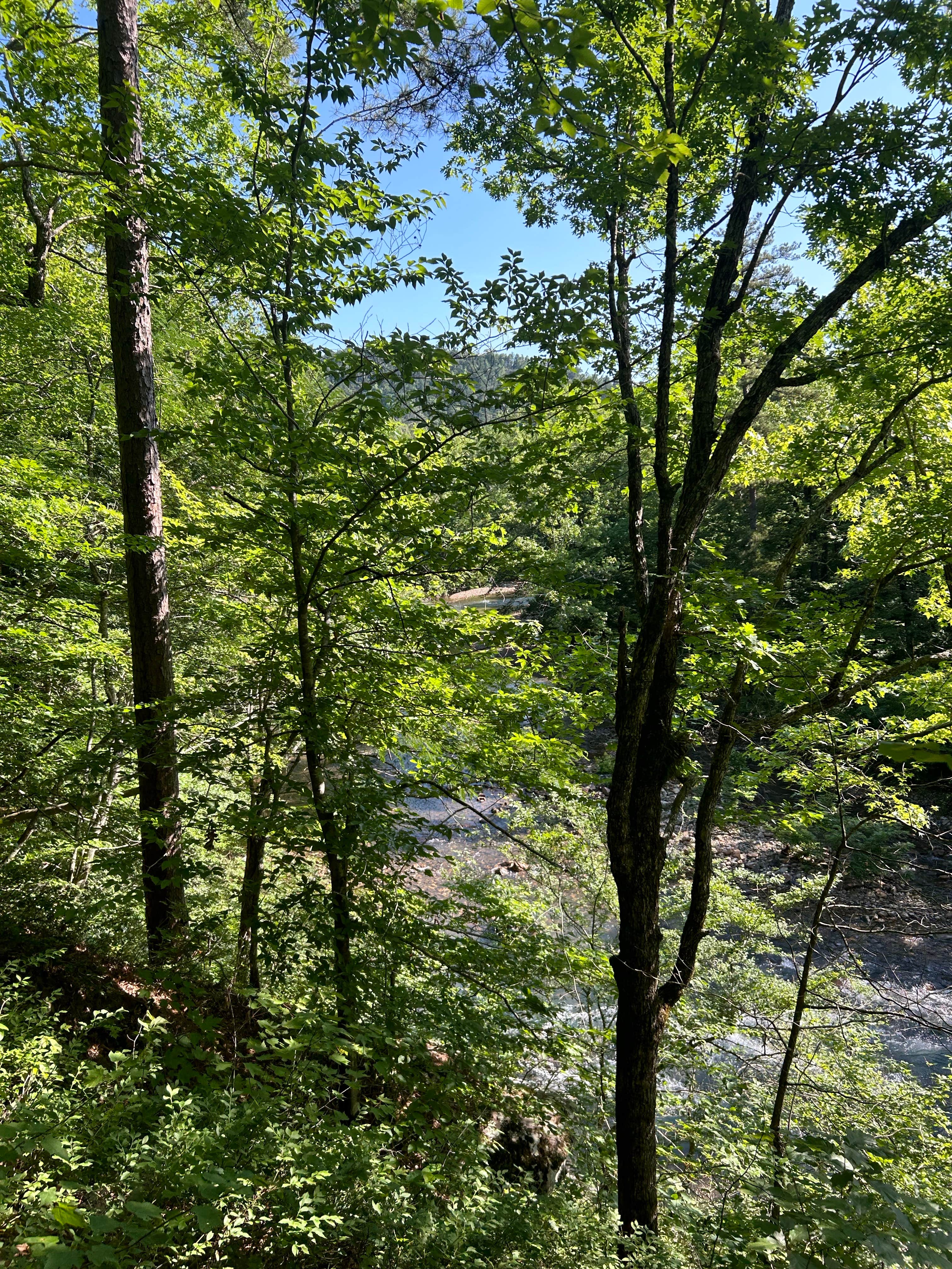 Camping near Bard Springs Campground - CLOSED TEMPORARILY: Long Creek Campsite on the Eagle Rock Loop, Langley, Arkansas