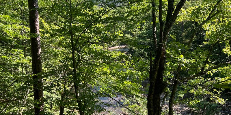 Camper submitted image from Long Creek Campsite on the Eagle Rock Loop