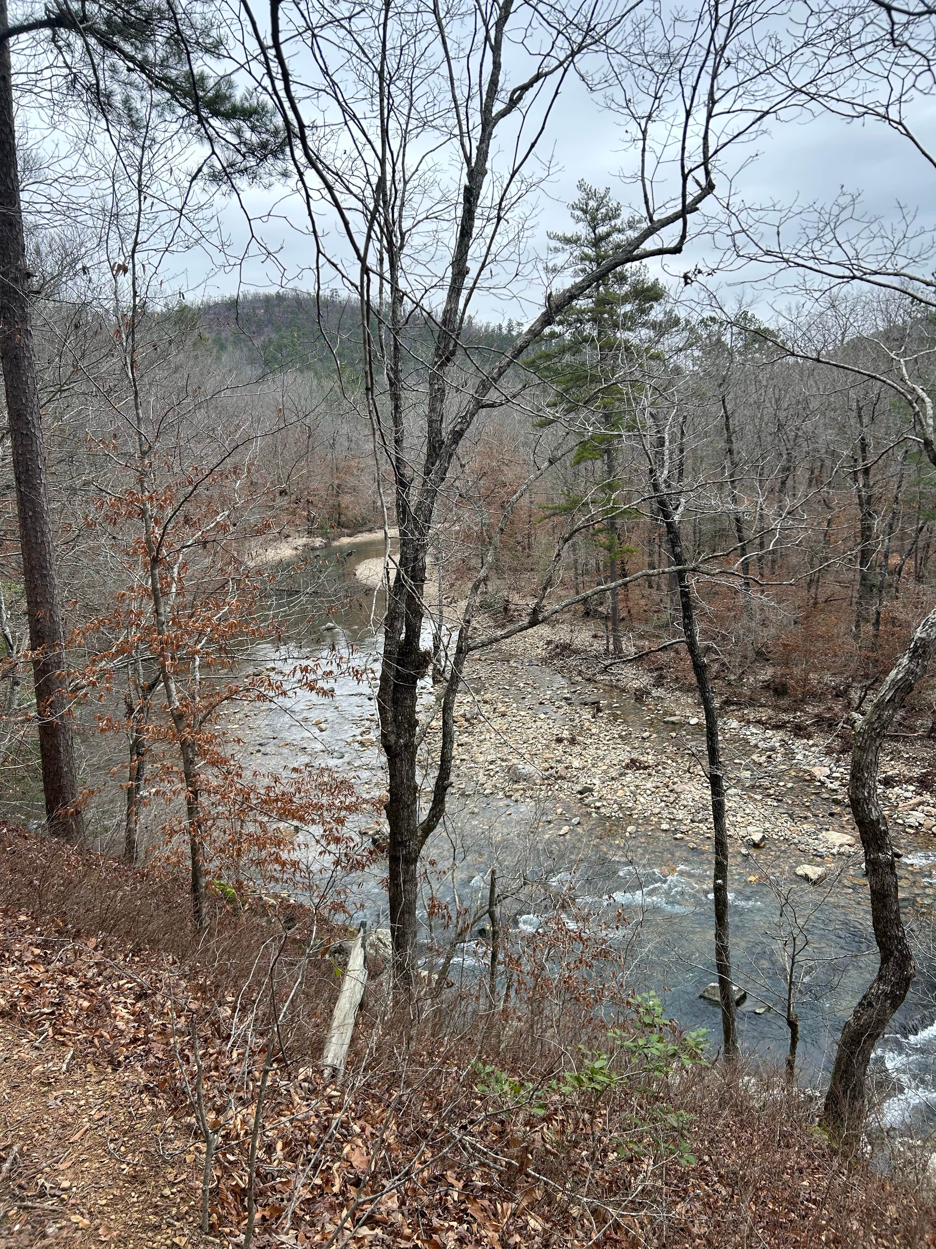 Camper-submitted photo at Long Creek Campsite on the Eagle Rock Loop near Caddo Gap, AR