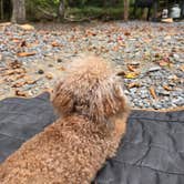 Review photo of Long Creek Haven by Green Q., September 5, 2026