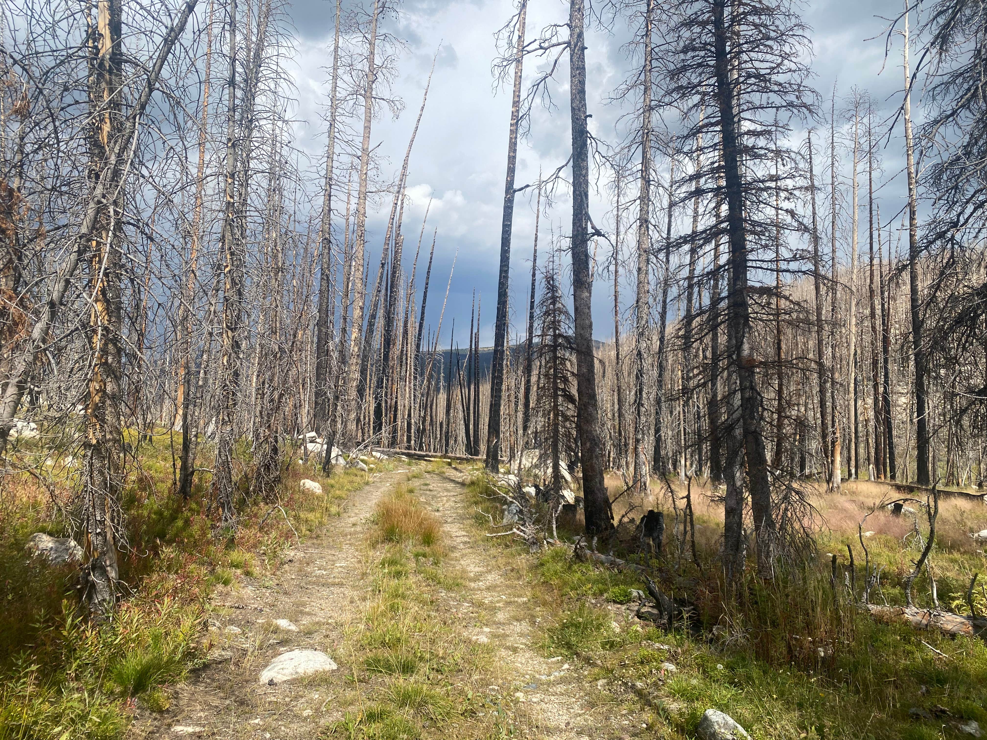 Camper submitted image from Long Draw Reservoir Dispersed Camping - 4