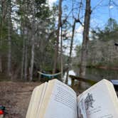 Review photo of Long Hungry Road Dispersed Campsites by Sami G., March 23, 2026