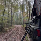 Review photo of Long Hungry Road Dispersed Campsites by Aly E., October 12, 2025