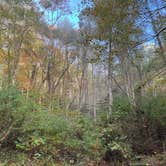 Review photo of Long Hungry Road Dispersed Campsites by Aly E., October 12, 2025