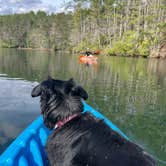 Review photo of Long Hungry Road Dispersed Campsites by amanda R., April 1, 2024