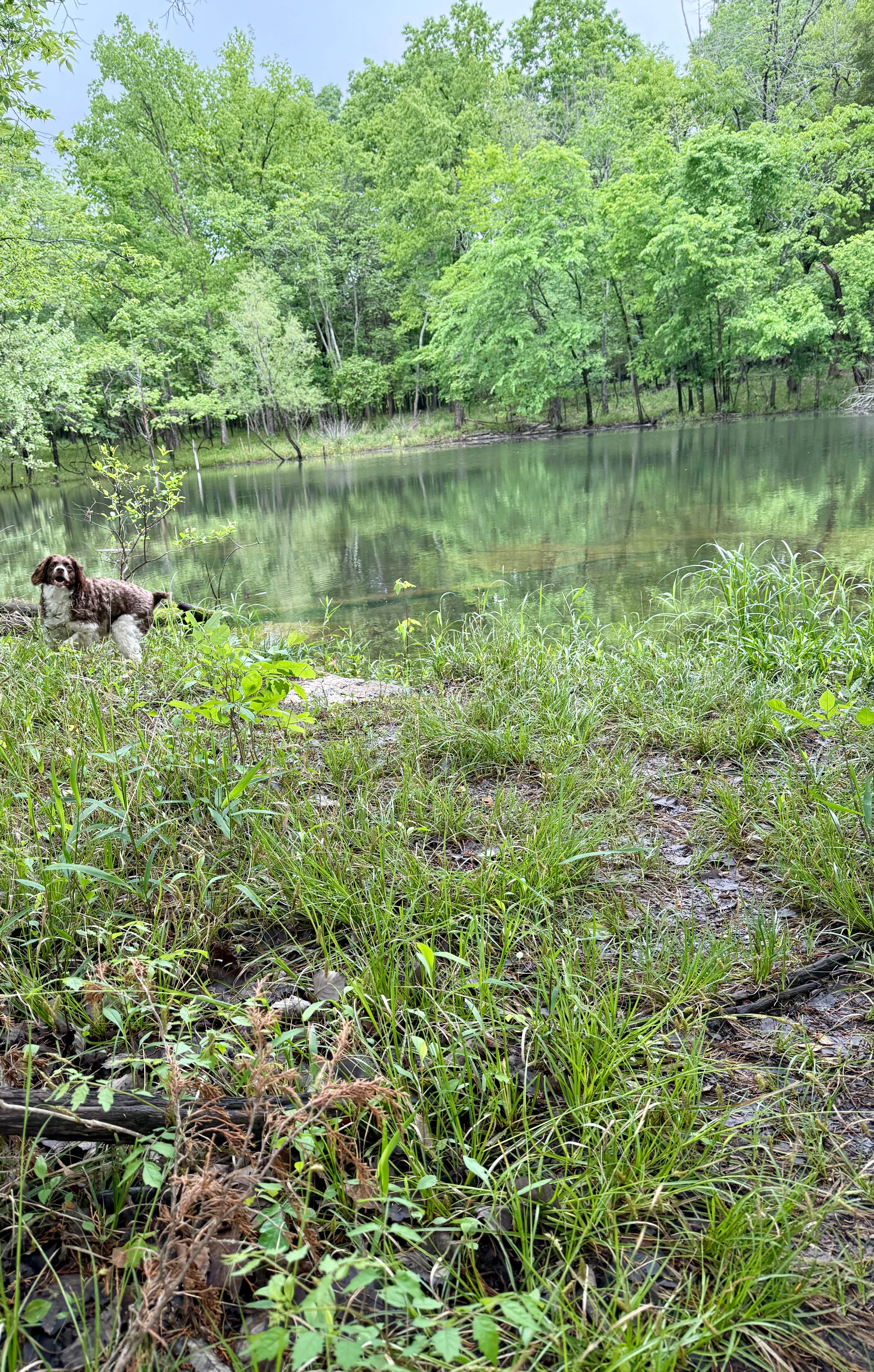 Camper-submitted photo at Long Hunter State Park Campground near Springfield, TN