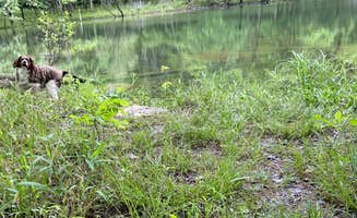 Zeedayz ..'s photo of camping with pets at Long Hunter State Park Campground near Gallatin, TN