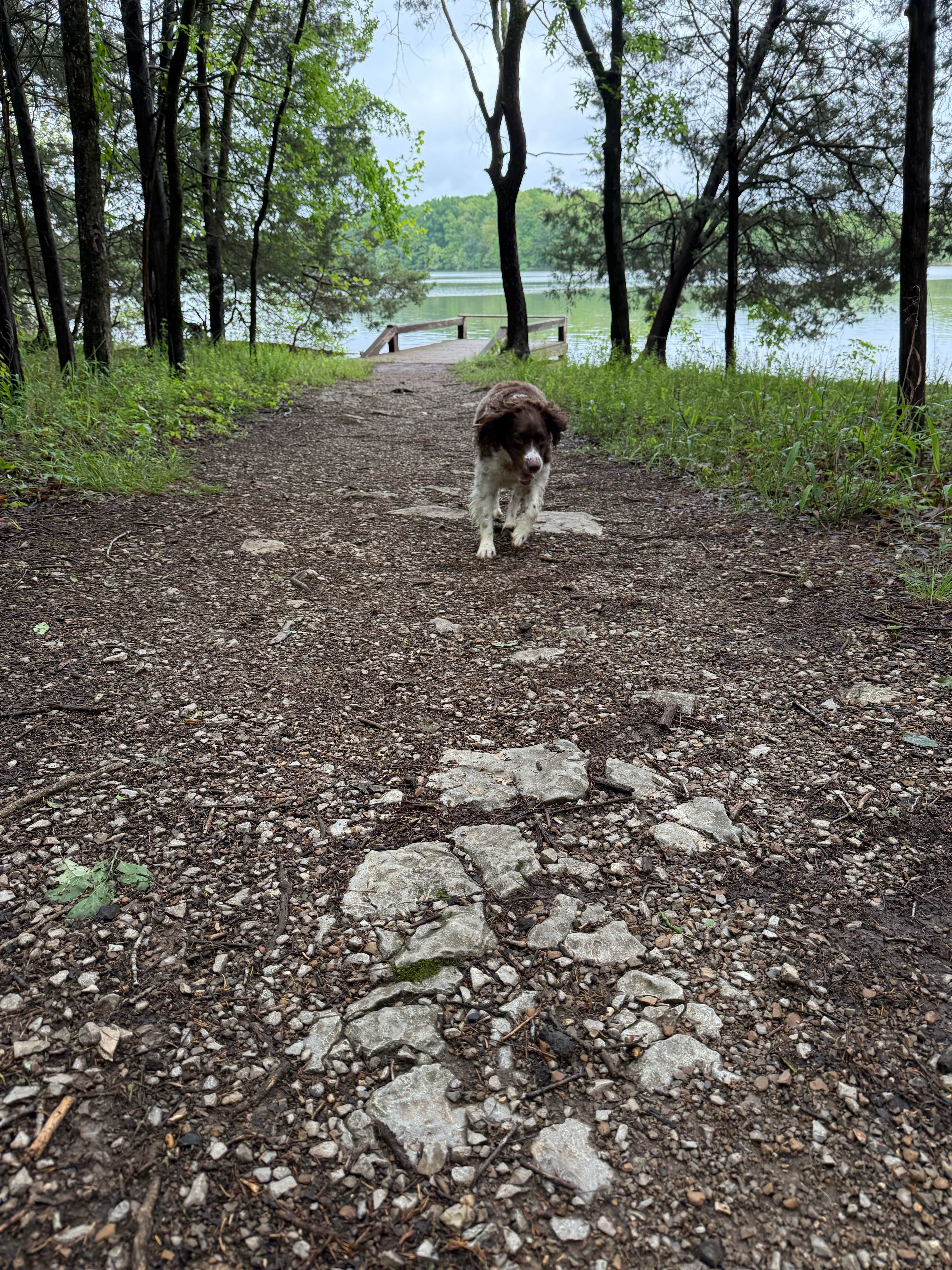 Camper-submitted photo at Long Hunter State Park Campground near Springfield, TN