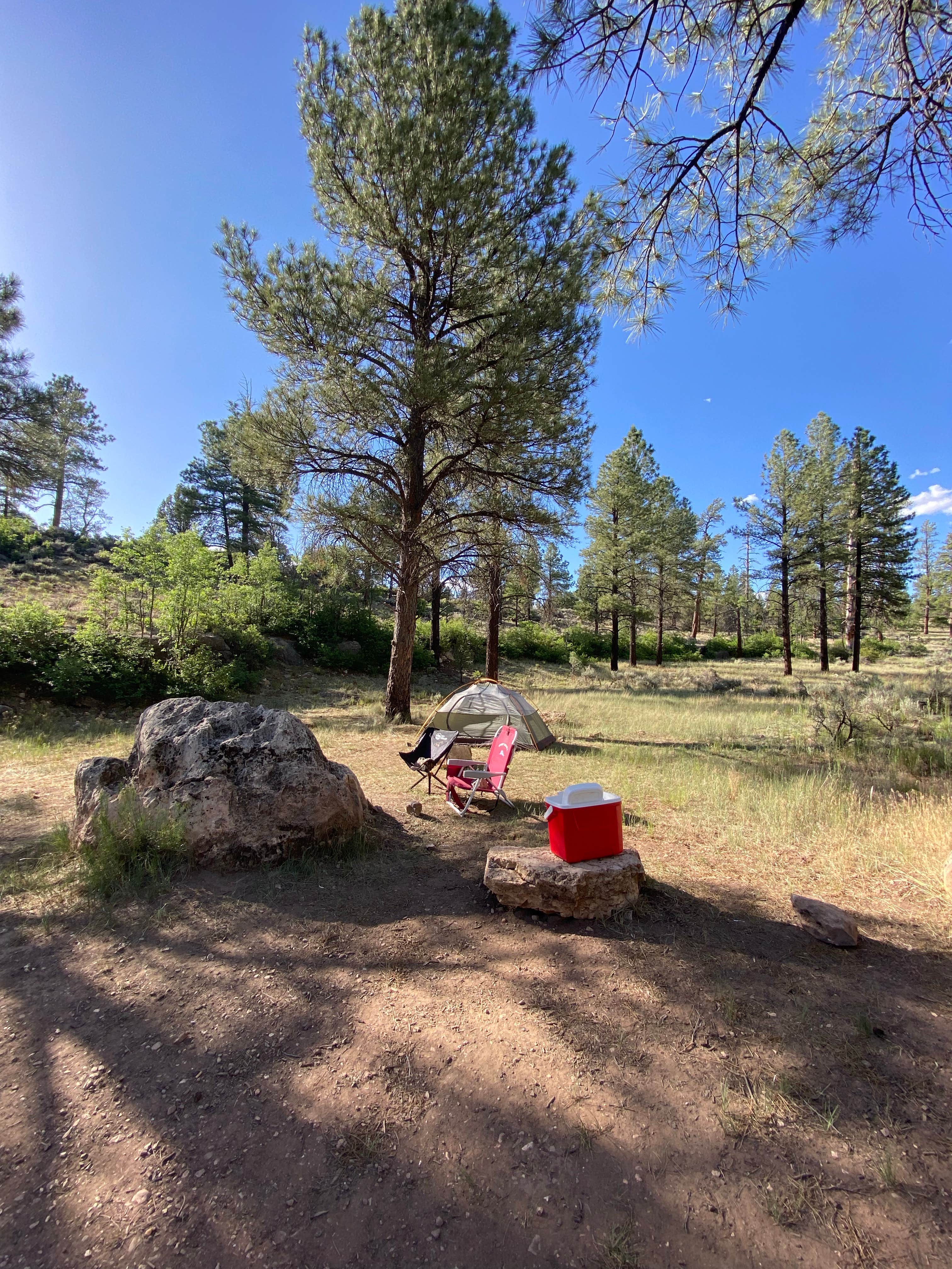 Lauren S.'s photo of a dispersed camping area at Long Jim Loop Campground near Tuba City, AZ