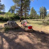 Review photo of Long Jim Loop Campground by Lauren S., June 24, 2024