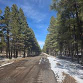 Review photo of Long Jim Loop Campground by Andrew H., February 24, 2026