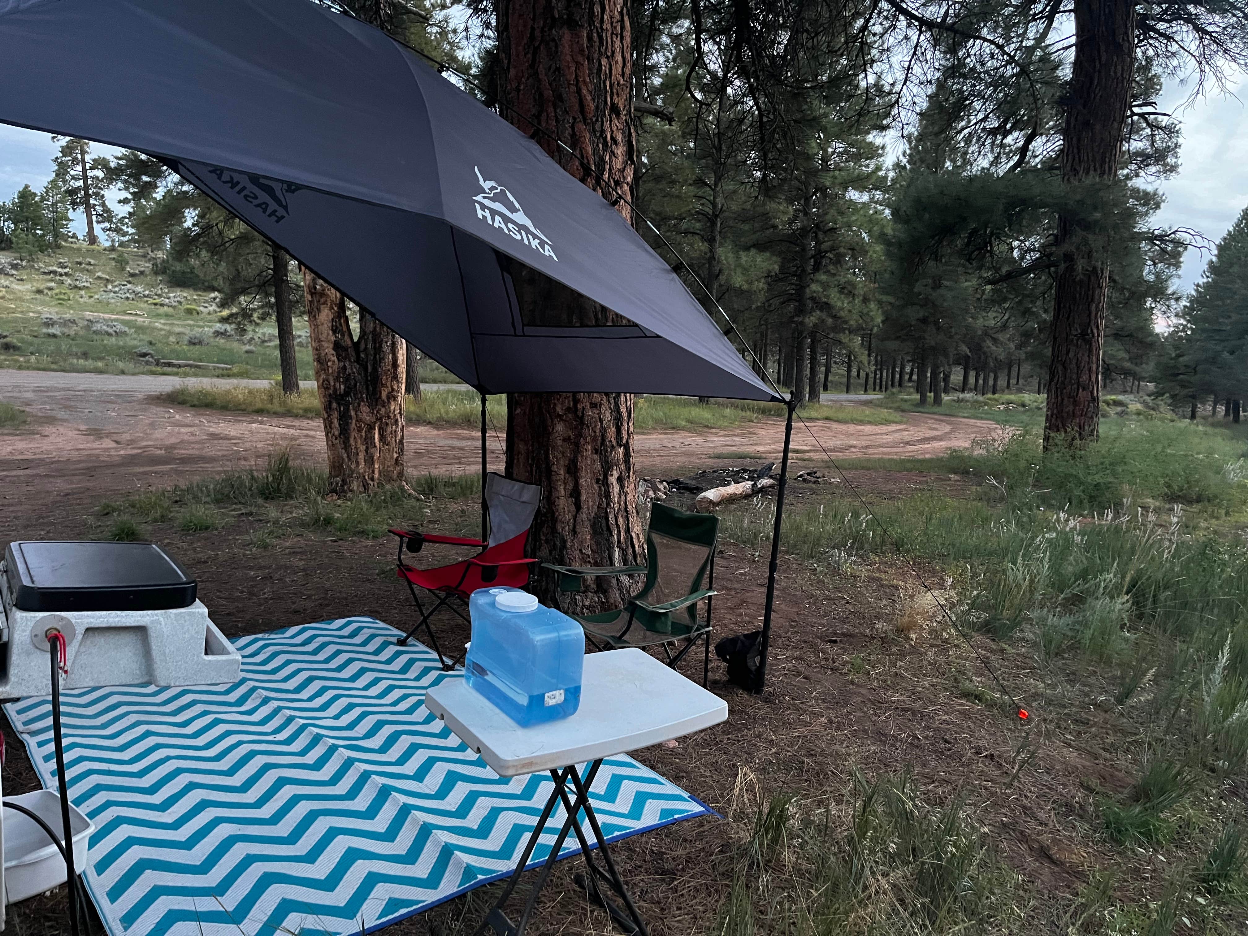 Camper submitted image from Long Jim Loop Campground - 3
