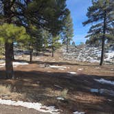 Review photo of Long Jim Loop Campground by Andrew H., February 24, 2026
