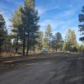 Review photo of Long Jim Loop Campground by Andrew H., February 24, 2026