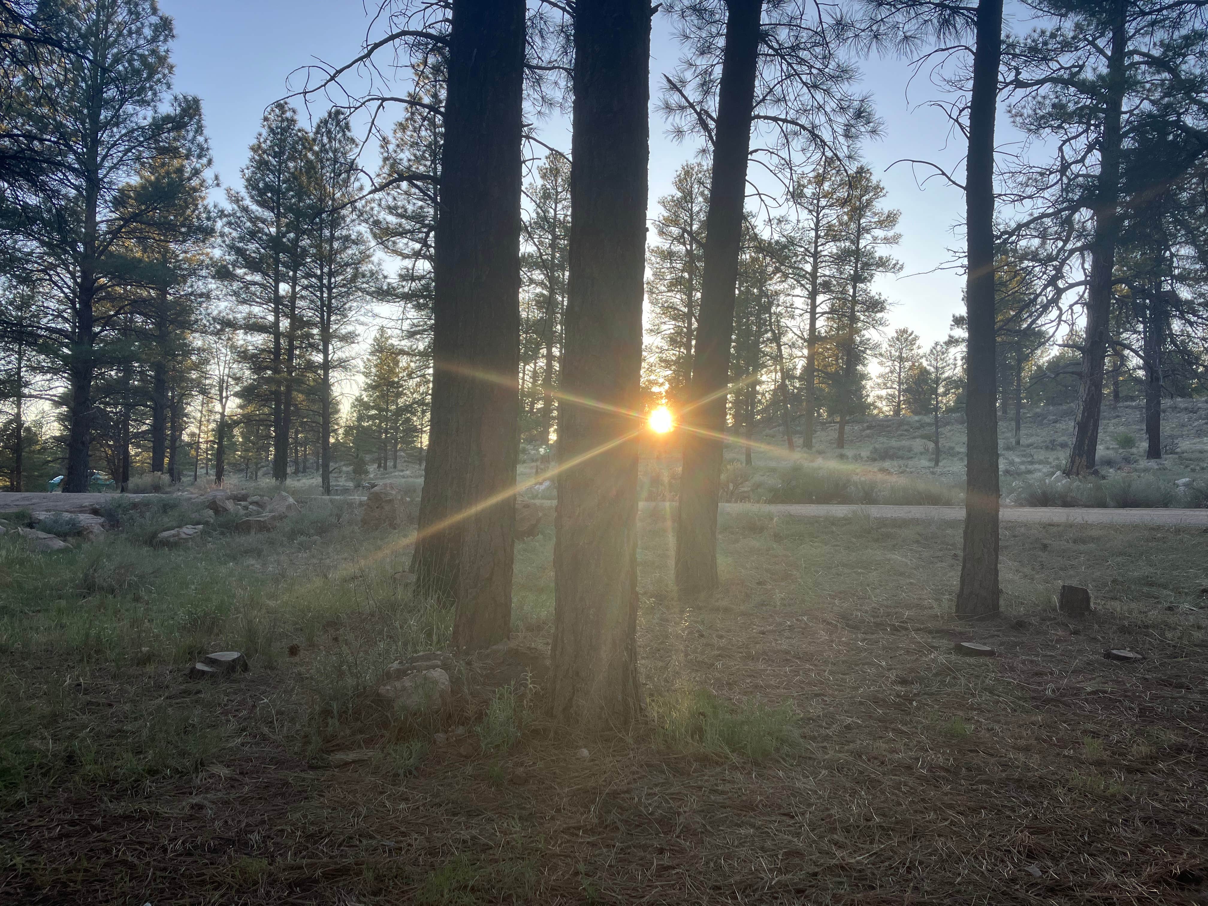 S H.'s photo of a dispersed camping area at Long Jim Loop Campground near Supai, AZ