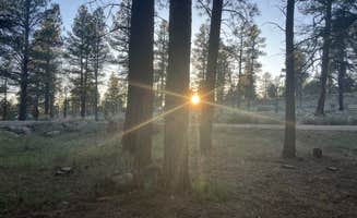 S H.'s photo of a dispersed camping area at Long Jim Loop Campground near Supai, AZ