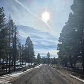Review photo of Long Jim Loop Campground by Andrew H., February 24, 2026