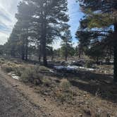 Review photo of Long Jim Loop Campground by Andrew H., February 24, 2026