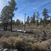 Review photo of Long Jim Loop Campground by Andrew H., February 24, 2026