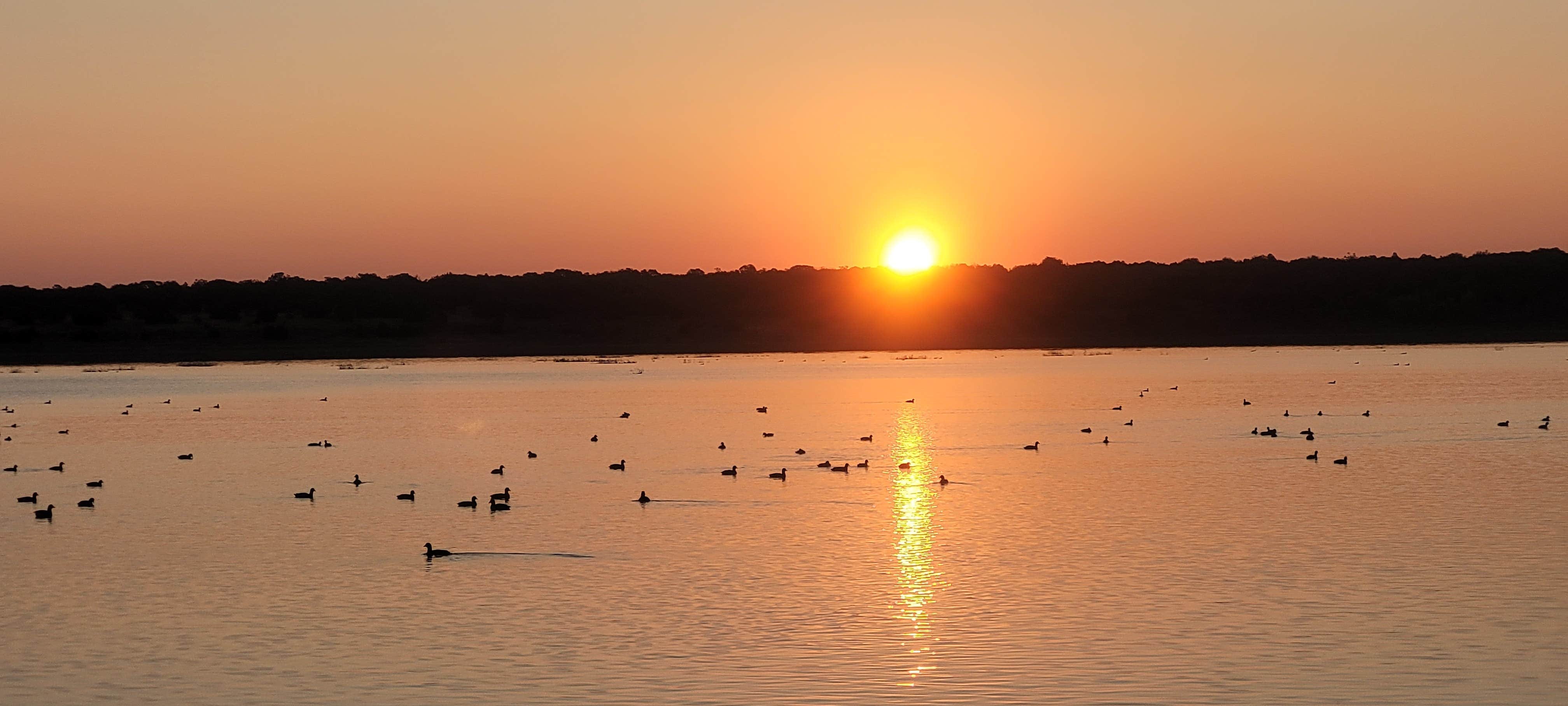 Steve M.'s photo of a dispersed camping area at Long Lake Dispersed Camping near Happy Jack, AZ
