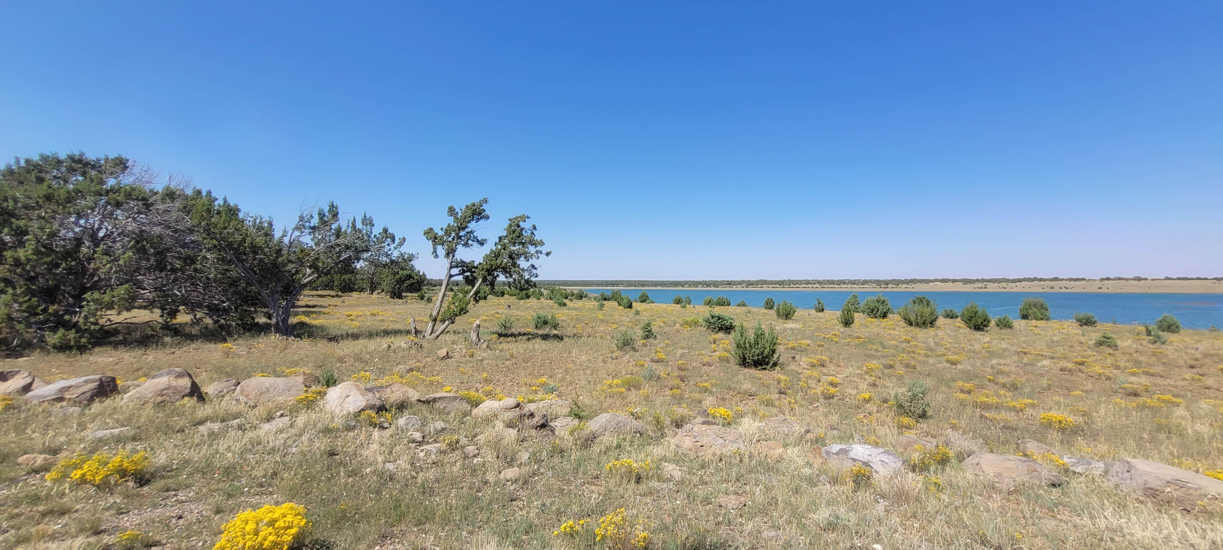 Camper-submitted photo at Long Lake Dispersed Camping near Kohls Ranch, AZ