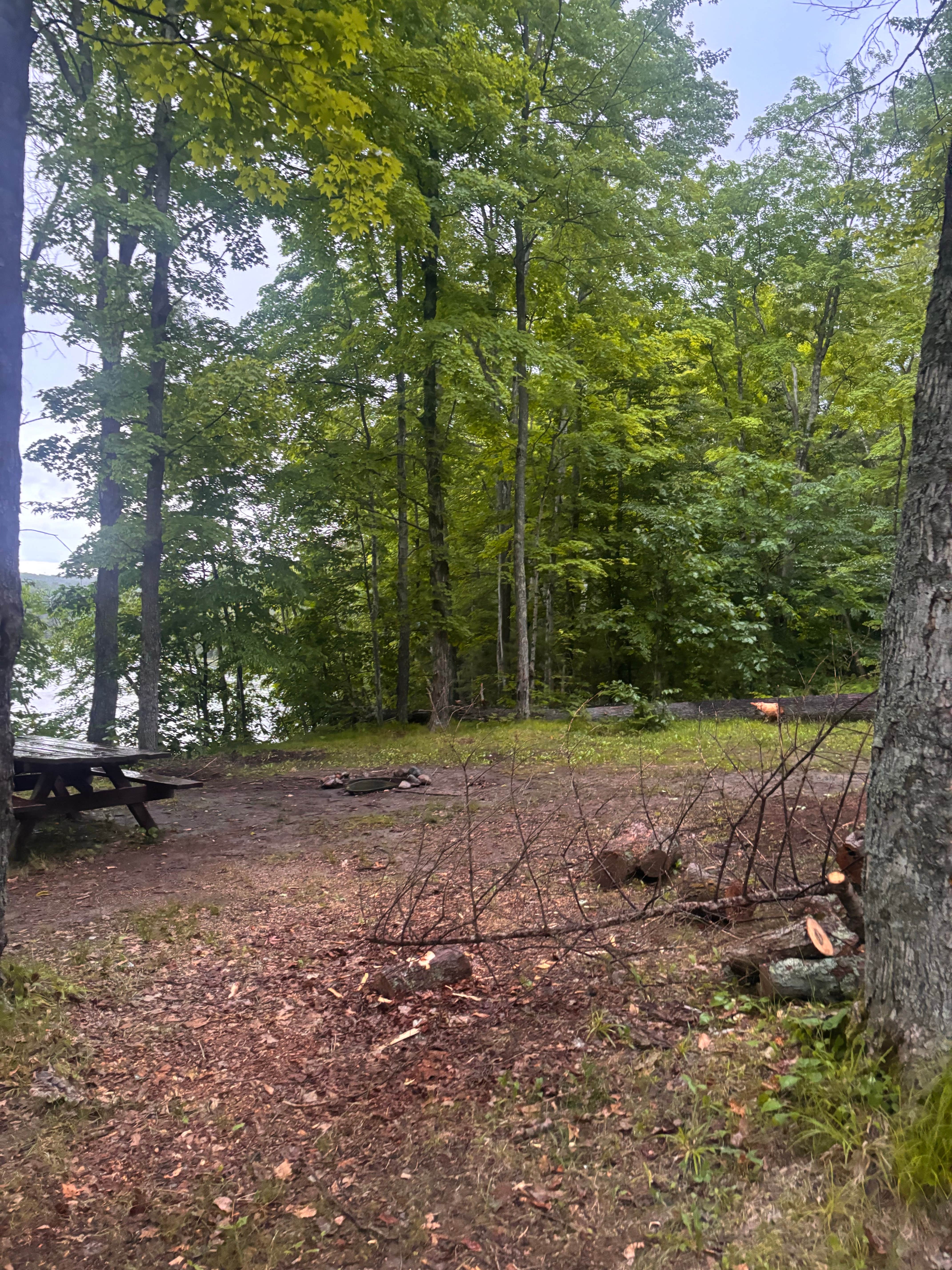 Camper-submitted photo at Long Lake Dispersed near Wabeno, WI